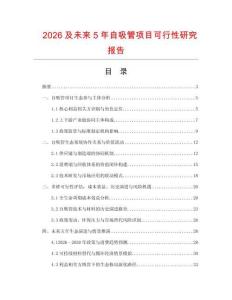 2026及未来5年自吸管项目可行性研究报告