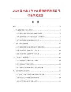 2026及未來5年P(guān)U超強(qiáng)建筑膠項(xiàng)目可行性研究報(bào)告