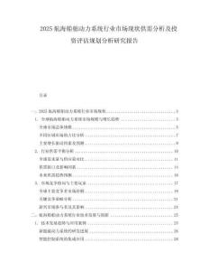 2025航海船舶動力系統行業市場現狀供需分析及投資評估規劃分析研究報告