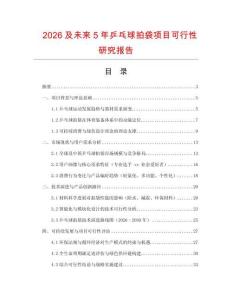 2026及未來5年乒乓球拍袋項目可行性研究報告