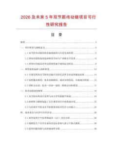 2026及未來5年雙節距傳動鏈項目可行性研究報告