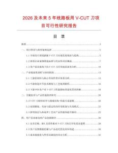 2026及未來5年線路板用V-CUT刀項目可行性研究報告