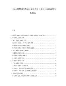 2025智慧城市基礎設施建設項目規劃與市場前景分析報告
