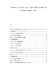 2025航空貨運物流行業運營現狀市場需求分析投資布局發展評估報告文檔