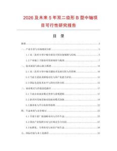 2026及未來5年雙二齒形B型中軸項(xiàng)目可行性研究報(bào)告