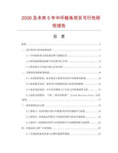 2026及未來5年中環鏈條項目可行性研究報告