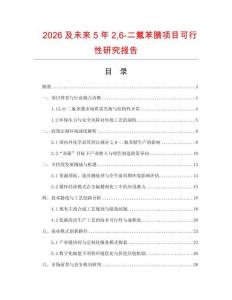 2026及未來5年26-二氟苯腈項目可行性研究報告