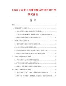 2026及未來5年菱形輸送帶項目可行性研究報告