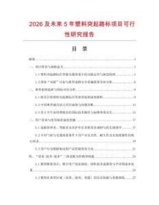 2026及未来5年塑料突起路标项目可行性研究报告