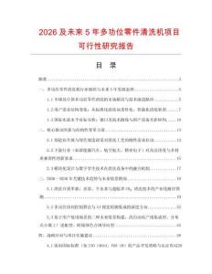 2026及未來5年多功位零件清洗機項目可行性研究報告