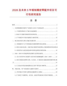2026及未來5年銅制精密零配件項目可行性研究報告