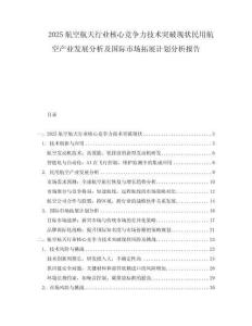 2025航空航天行業核心競爭力技術突破現狀民用航空產業發展分析及國際市場拓展計劃分析報告