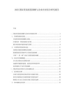2025國際貿(mào)易政策調(diào)整與企業(yè)應(yīng)對綜合研究報告