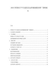 2025智慧醫(yī)療平臺建設(shè)及遠(yuǎn)程健康服務(wù)推廣策略報(bào)告