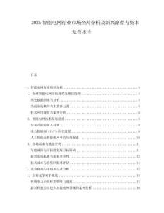2025智能電網行業市場全局分析及新興路徑與資本運作報告