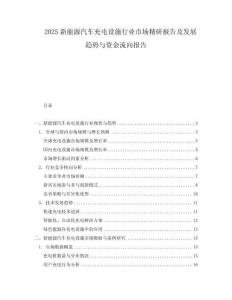 2025新能源汽車充電設(shè)施行業(yè)市場精研報(bào)告及發(fā)展趨勢與資金流向報(bào)告