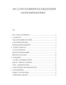 2025云計算行業市場細致研究及未來技術發展趨勢與商業資本投資決策分析報告