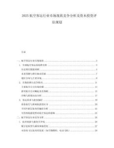 2025航空客運行業(yè)市場現(xiàn)狀競爭分析及資本投資評估規(guī)劃