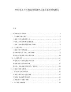 2025化工材料投資風(fēng)險(xiǎn)評(píng)估及融資策略研究報(bào)告