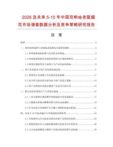 2026及未來5-10年中國雙響地老鼠煙花市場調(diào)查數(shù)據(jù)分析及競爭策略研究報(bào)告