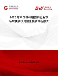 2026年中國錨桿錨固劑行業(yè)市場規(guī)模及投資前景預(yù)測分析報(bào)告