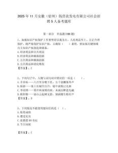 2025年11月安徽（宿州）錢營孜發(fā)電有限公司社會招聘5人備考題庫及答案解析（奪冠）