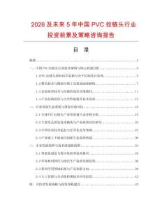 2026及未來5年中國PVC拉鏈頭行業投資前景及策略咨詢報告