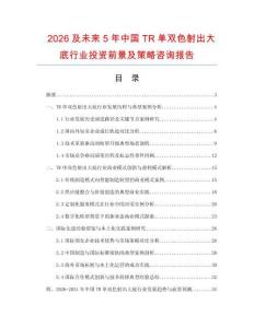 2026及未來5年中國TR單雙色射出大底行業投資前景及策略咨詢報告