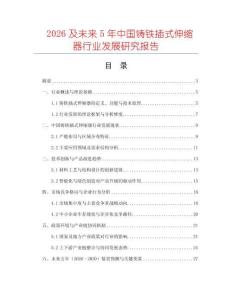 2026及未來5年中國鑄鐵插式伸縮器行業發展研究報告