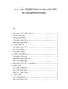 2025-2030中國機場航站樓行李車行業市場發展趨勢與前景展望戰略研究報告