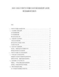2025-2030中國汽車頂篷行業市場發展趨勢與前景展望戰略研究報告