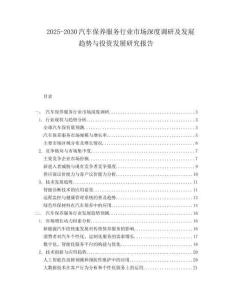 2025-2030汽車保養服務行業市場深度調研及發展趨勢與投資發展研究報告