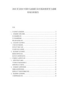 2025至2030中國針頭玻璃行業市場深度研究與戰略咨詢分析報告