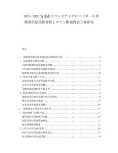 2025-2030智能都市コンセプトプロバイダーの市場需供給現狀分析とタウン開発投資立案研究