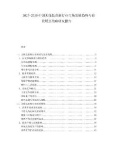 2025-2030中國無線低音炮行業市場發展趨勢與前景展望戰略研究報告