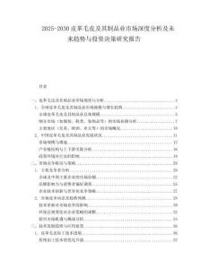 2025-2030皮革毛皮及其制品業(yè)市場深度分析及未來趨勢與投資決策研究報告