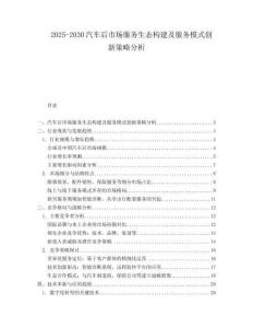 2025-2030汽車后市場服務生態構建及服務模式創新策略分析