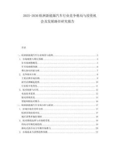 2025-2030歐洲新能源汽車行業(yè)競爭格局與投資機(jī)會及發(fā)展路徑研究報告