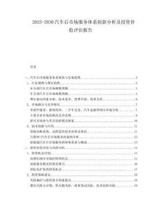 2025-2030汽車后市場服務(wù)體系創(chuàng)新分析及投資價值評估報告