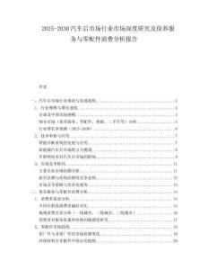 2025-2030汽車后市場行業市場深度研究及保養服務與零配件消費分析報告