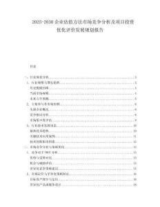 2025-2030企業估值方法市場競爭分析及項目投資優化評價發展規劃報告