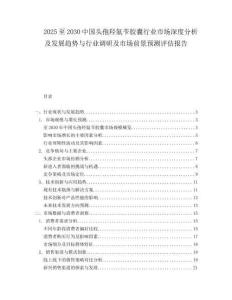 2025至2030中國頭孢羥氨芐膠囊行業市場深度分析及發展趨勢與行業調研及市場前景預測評估報告