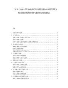 2025-2030中國專業(yè)多功能萬用表行業(yè)市場發(fā)展分析及前景趨勢預(yù)測與投資發(fā)展究報(bào)告