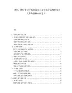 2025-2030葡萄牙新能源項目建設競爭態勢研究以及企業投資布局建議