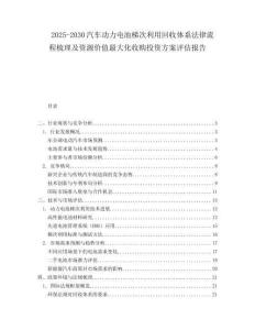 2025-2030汽車動力電池梯次利用回收體系法律流程梳理及資源價值最大化收購投資方案評估報告