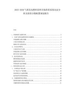2025-2030氣基發電燃料原料市場供需系統動態分析及投資分散配置規劃報告