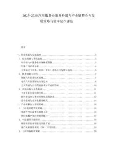 2025-2030汽車服務(wù)業(yè)服務(wù)升級與產(chǎn)業(yè)鏈整合與發(fā)展策略與資本運(yùn)作評估