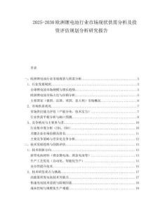 2025-2030歐洲鋰電池行業市場現狀供需分析及投資評估規劃分析研究報告