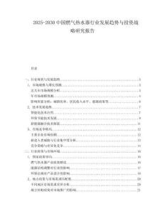 2025-2030中國燃氣熱水器行業發展趨勢與投資戰略研究報告