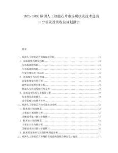 2025-2030歐洲人工智能芯片市場現狀及技術進出口分析及投資收益規劃報告